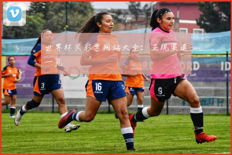 世界杯买彩票网站大全:正规渠道一览