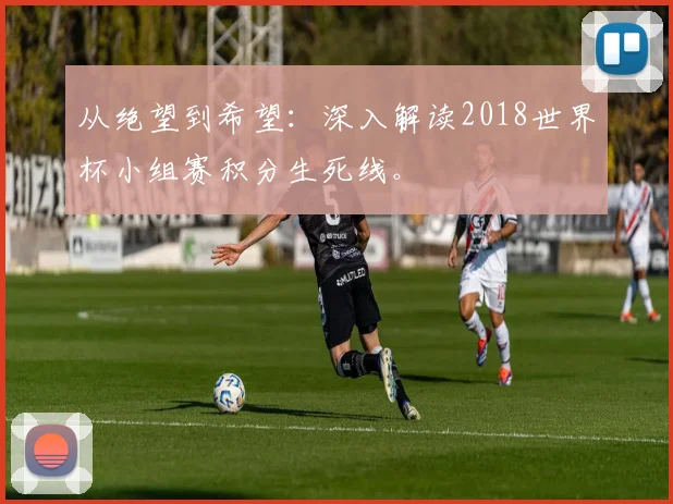 从绝望到希望：深入解读2018世界杯小组赛积分生死线。